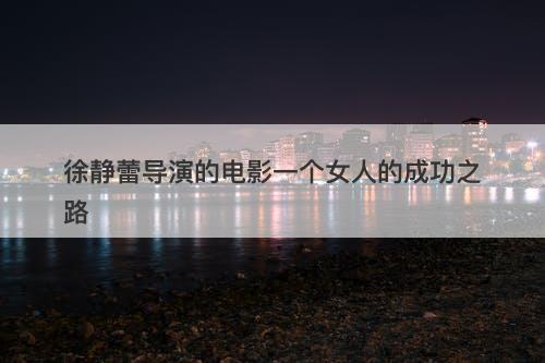 徐静蕾导演的电影一个女人的成功之路
