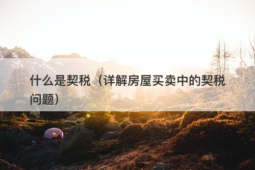 什么是契税（详解房屋买卖中的契税问题）