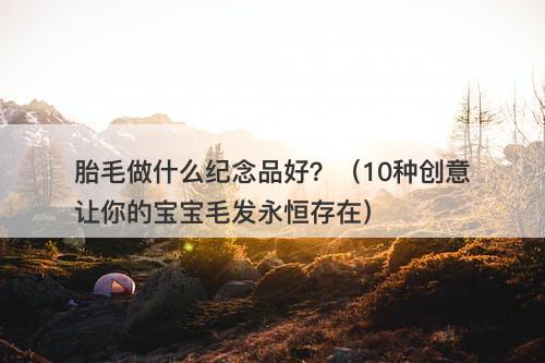 胎毛做什么纪念品好？（10种创意让你的宝宝毛发永恒存在）
