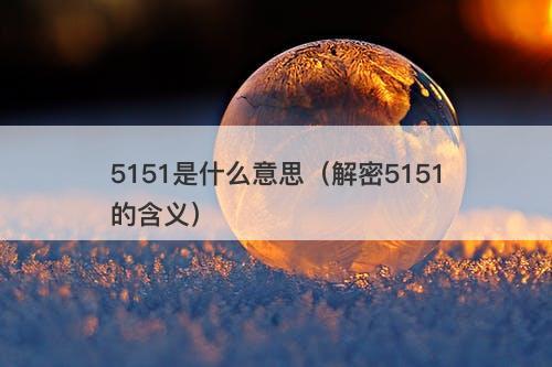5151是什么意思（解密5151的含义）