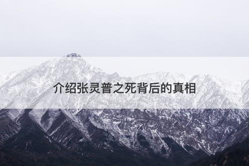 介绍张灵普之死背后的真相