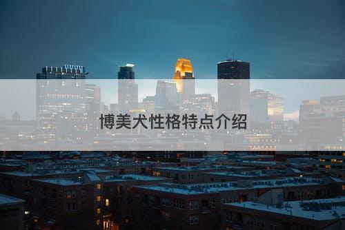 博美犬性格特点介绍