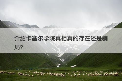 介绍卡塞尔学院真相真的存在还是骗局？