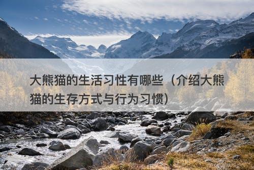大熊猫的生活习性有哪些（介绍大熊猫的生存方式与行为习惯）