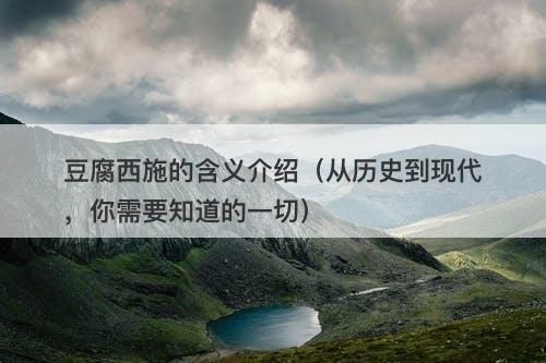 豆腐西施的含义介绍（从历史到现代，你需要知道的一切）