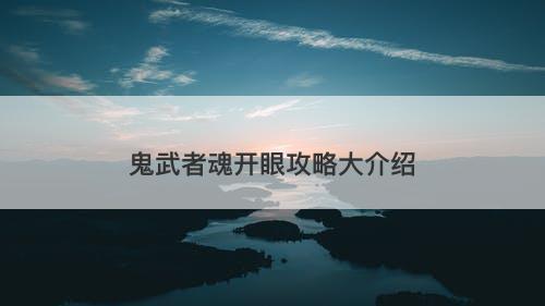 鬼武者魂开眼攻略大介绍