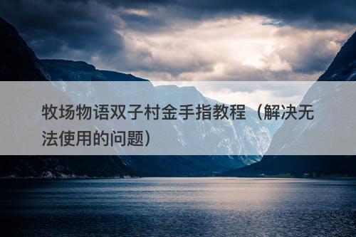 牧场物语双子村金手指教程（解决无法使用的问题）