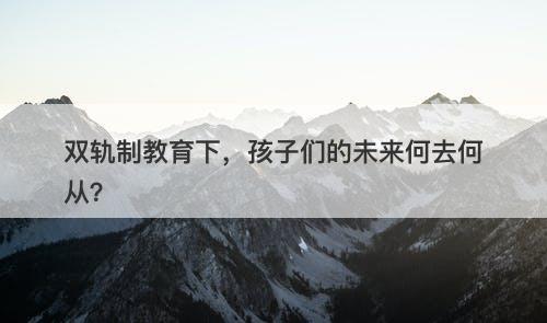 双轨制教育下，孩子们的未来何去何从？