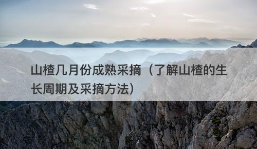 山楂几月份成熟采摘（了解山楂的生长周期及采摘方法）