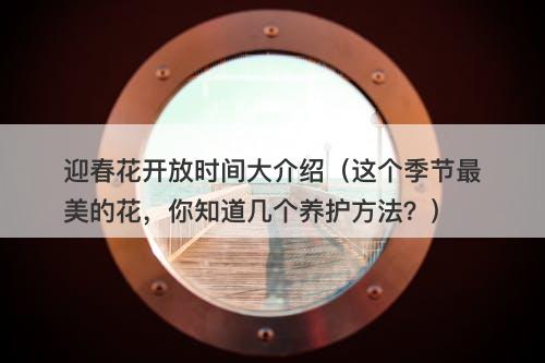 迎春花开放时间大介绍（这个季节最美的花，你知道几个养护方法？）