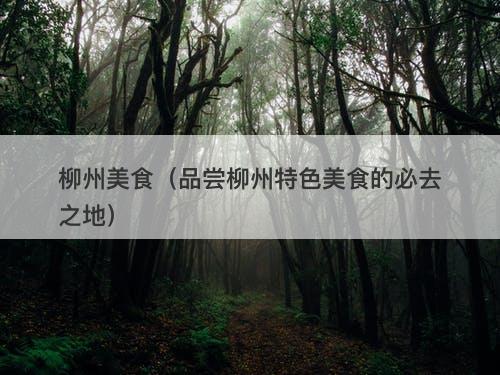 柳州美食（品尝柳州特色美食的必去之地）