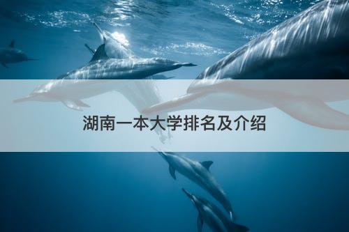 湖南一本大学排名及介绍