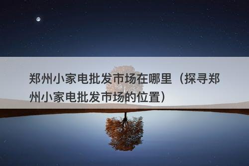 郑州小家电批发市场在哪里（探寻郑州小家电批发市场的位置）