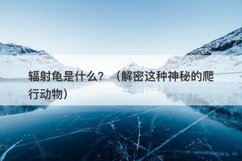 辐射龟是什么？（解密这种神秘的爬行动物）