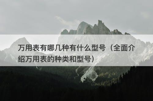 万用表有哪几种有什么型号（全面介绍万用表的种类和型号）