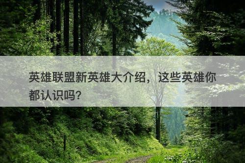 英雄联盟新英雄大介绍，这些英雄你都认识吗？