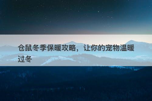 仓鼠冬季保暖攻略，让你的宠物温暖过冬