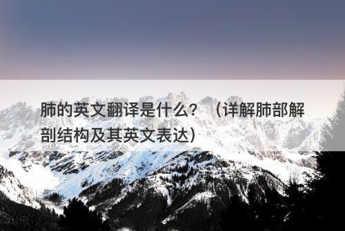 肺的英文翻译是什么？（详解肺部解剖结构及其英文表达）