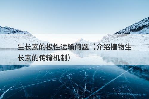 生长素的极性运输问题（介绍植物生长素的传输机制）