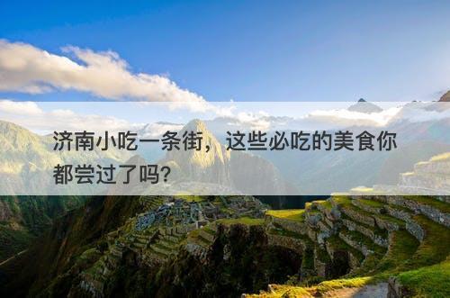 济南小吃一条街，这些必吃的美食你都尝过了吗？