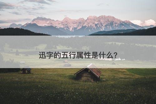 迅字的五行属性是什么？