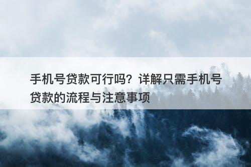 手机号贷款可行吗？详解只需手机号贷款的流程与注意事项