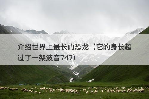 介绍世界上最长的恐龙(它的身长超过了一架波音747)