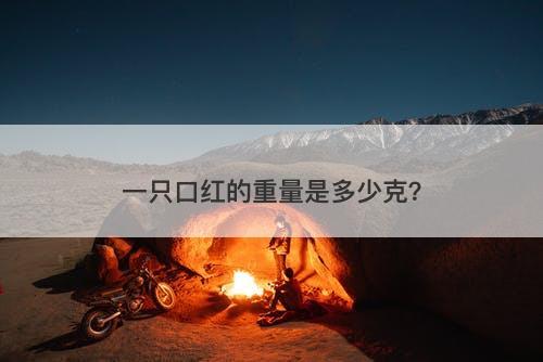 一只口红的重量是多少克?