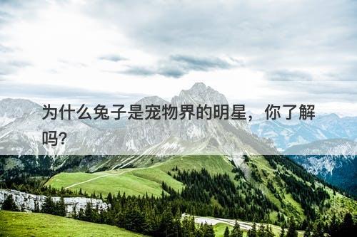为什么兔子是宠物界的明星，你了解吗？-图1