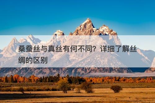 桑蚕丝与真丝有何不同？详细了解丝绸的区别
