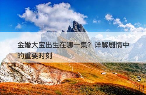 金婚大宝出生在哪一集？详解剧情中的重要时刻