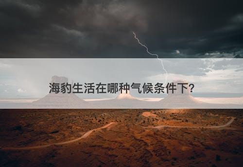 海豹生活在哪种气候条件下?