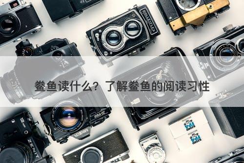 鲞鱼读什么？了解鲞鱼的阅读习性