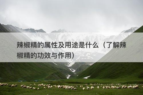 辣椒精的属性及用途是什么（了解辣椒精的功效与作用）