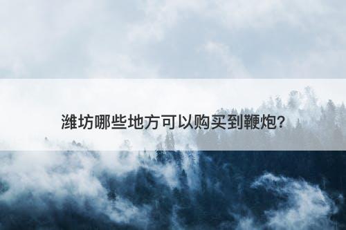 潍坊哪些地方可以购买到鞭炮？