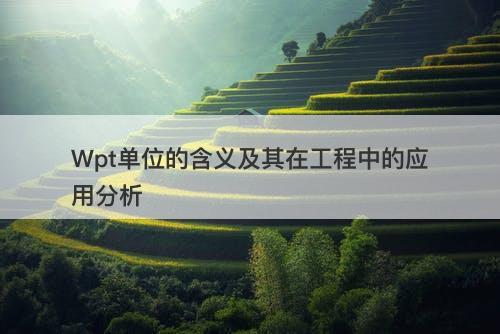 Wpt单位的含义及其在工程中的应用分析