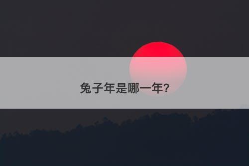 兔子年是哪一年？
