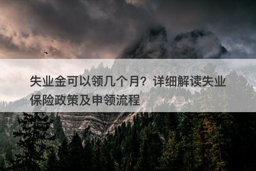 失业金可以领几个月?详细解读失业保险政策及申领流程