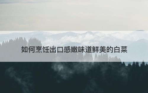 如何烹饪出口感嫩味道鲜美的白菜