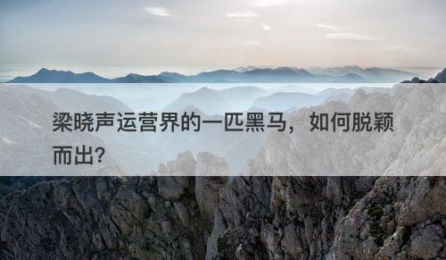 梁晓声运营界的一匹黑马，如何脱颖而出？