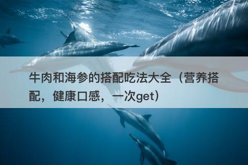 牛肉和海参的搭配吃法大全（营养搭配，健康口感，一次get）