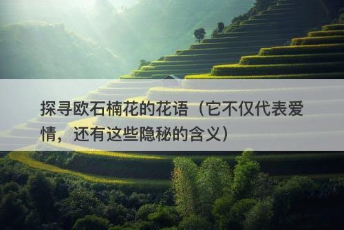探寻欧石楠花的花语（它不仅代表爱情，还有这些隐秘的含义）