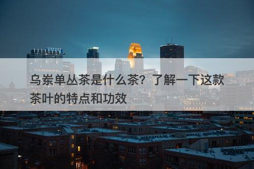 乌岽单丛茶是什么茶？了解一下这款茶叶的特点和功效