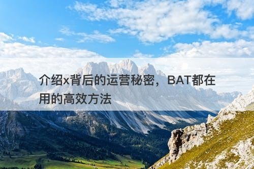 介绍x背后的运营秘密，BAT都在用的高效方法