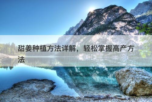 甜姜种植方法详解，轻松掌握高产方法