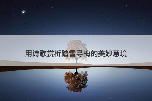 用诗歌赏析踏雪寻梅的美妙意境