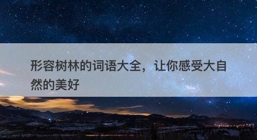 形容树林的词语大全,让你感受大自然的美好