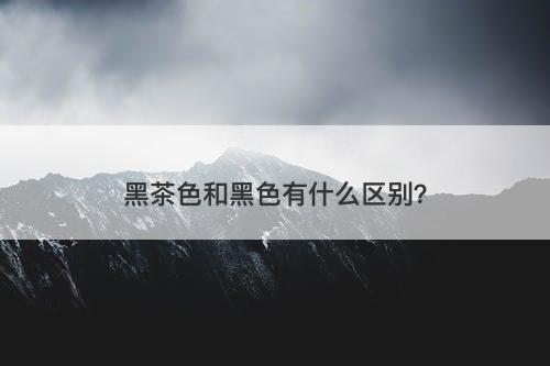 黑茶色和黑色有什么区别？
