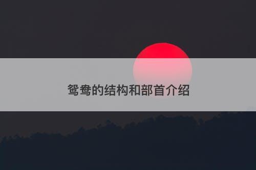 鸳鸯的结构和部首介绍