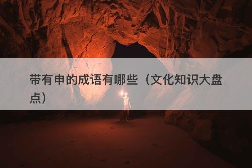 带有申的成语有哪些（文化知识大盘点）